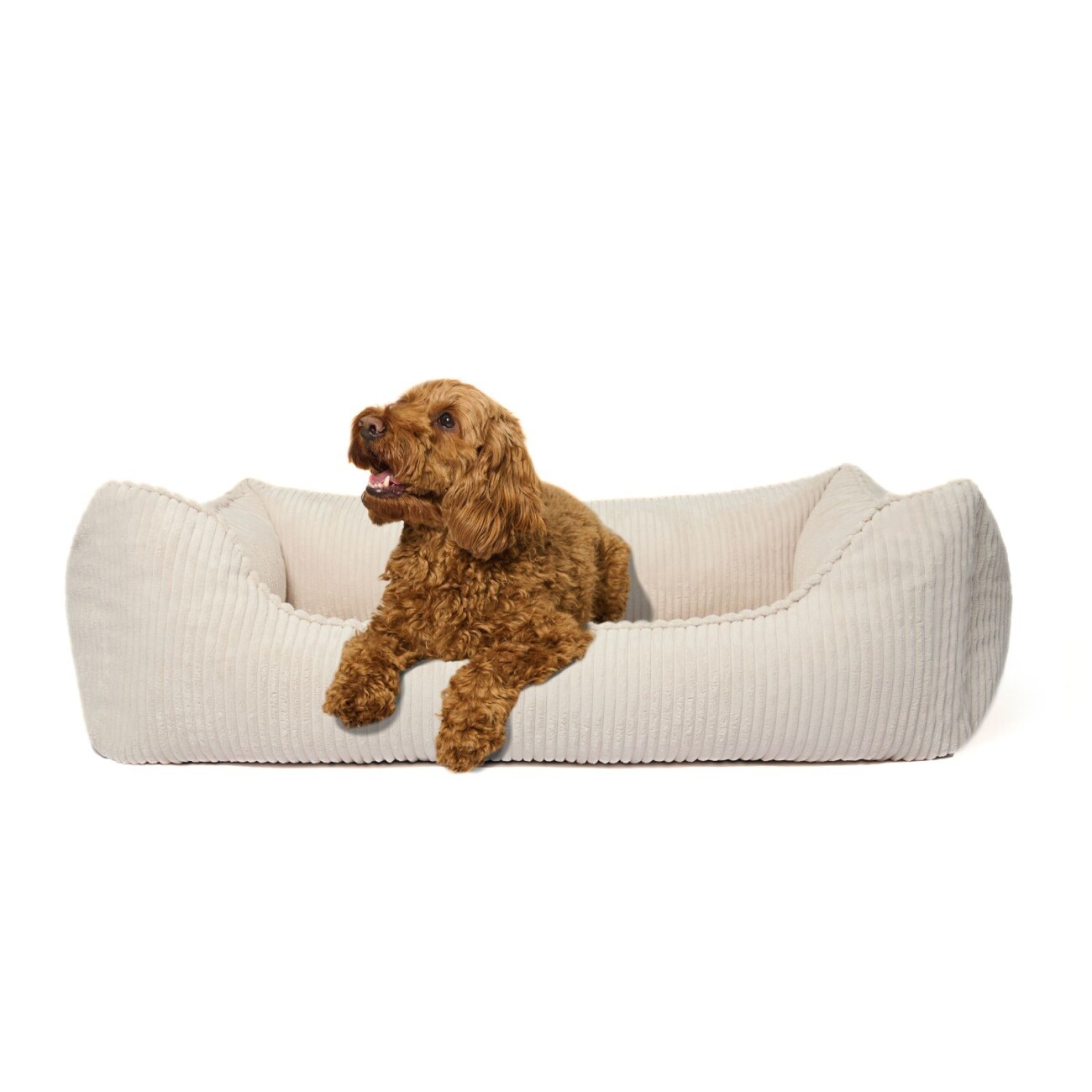 PAW WOW Hundebett ANTON Cord Beige M