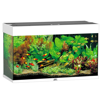 Juwel Aquarium Rio 125 81x36x50cm weiss