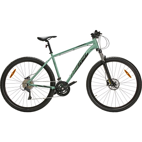 SCO Rebel ASG herrecykel 18 gear 29