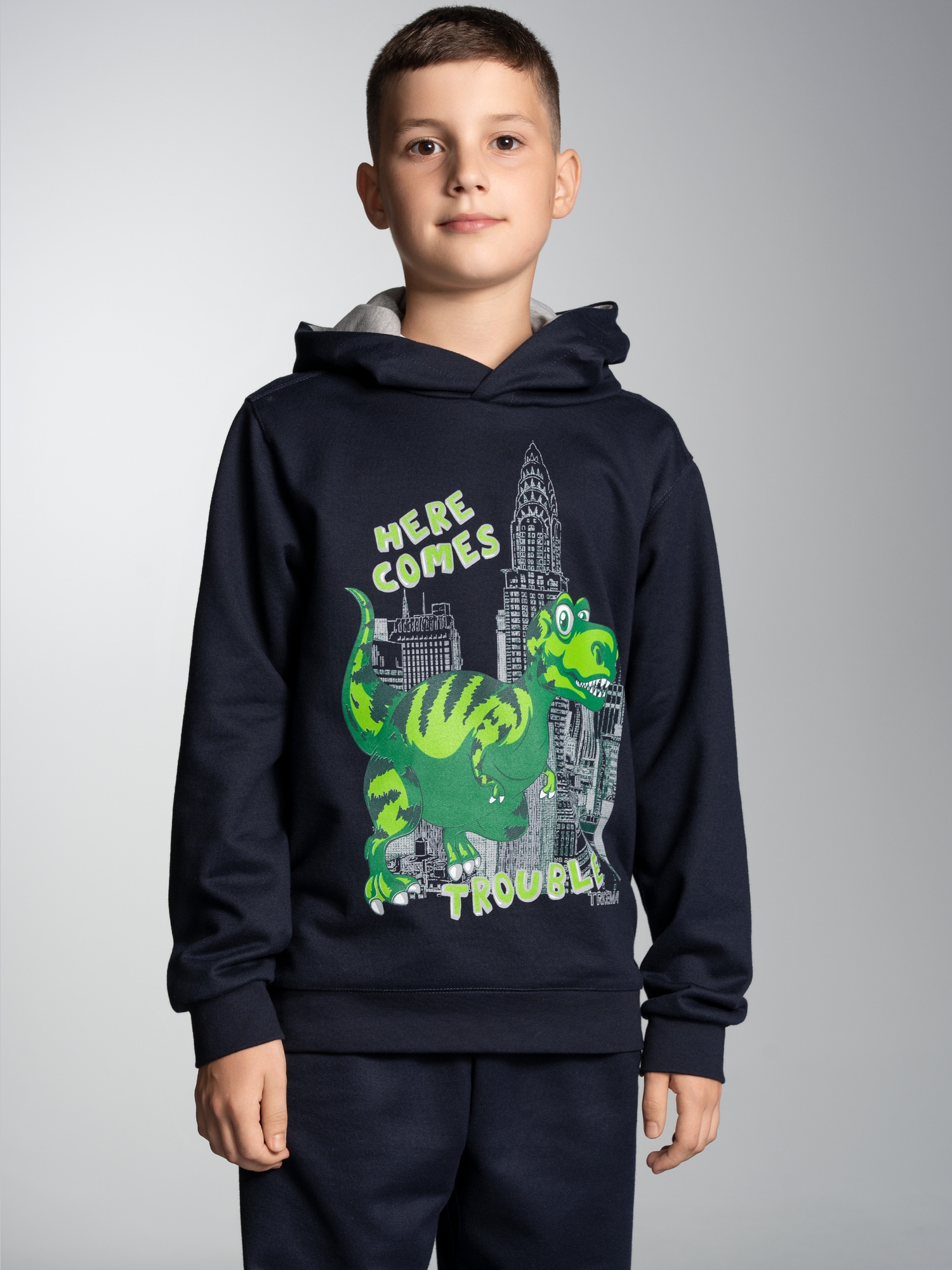Hoodie mit großem Dino-Printmotiv Navy