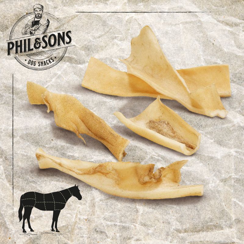 Lanières de peau de cheval pour chien