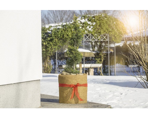 FloraSelf kokosviltmat 1,5x0,5 m naturel