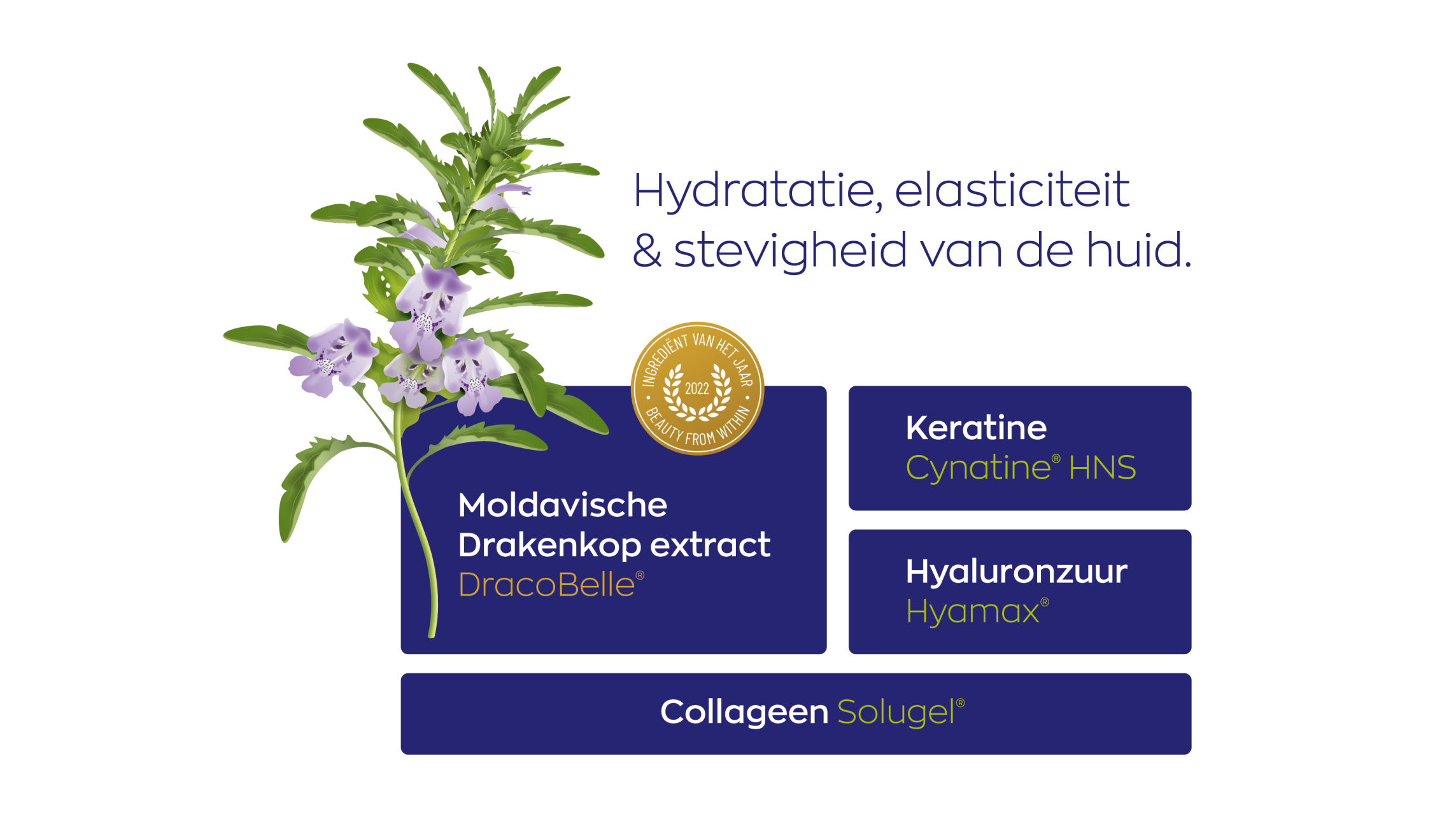 Beauté® Collageen Complex