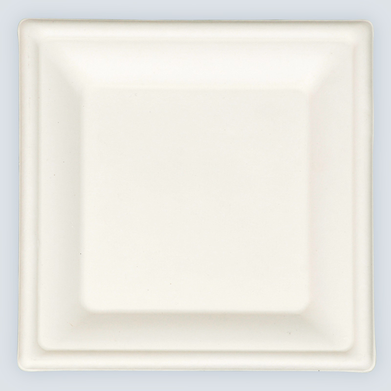 Lot de 8 assiettes carrées en canne à sucre