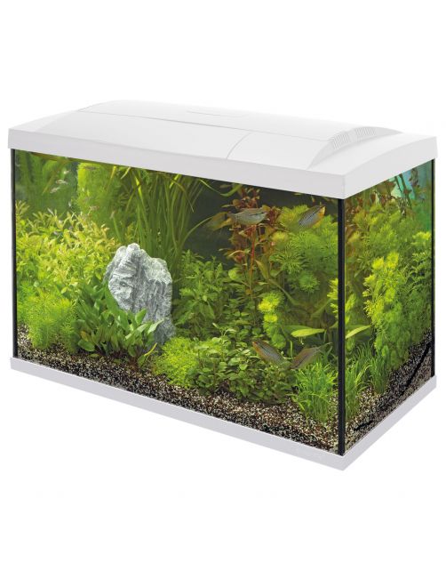 Superfish Aquarium Start 70 Tropical Kit Retro Led 73 l - Aquaria