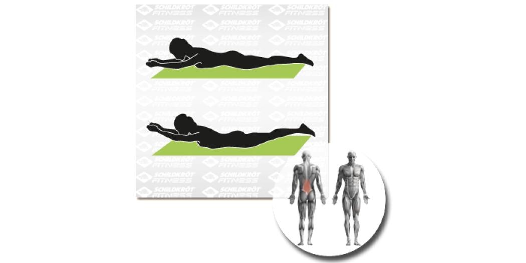Schildkröt Fitness Fitnessmatte Grün Gymnastikmatte für das Training zu Hause