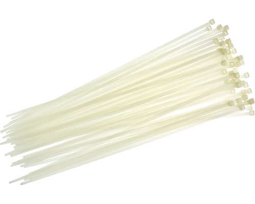 Haupa 262538 Kabelbinders 610x8,8 mm Nylon transparant 50 stuks