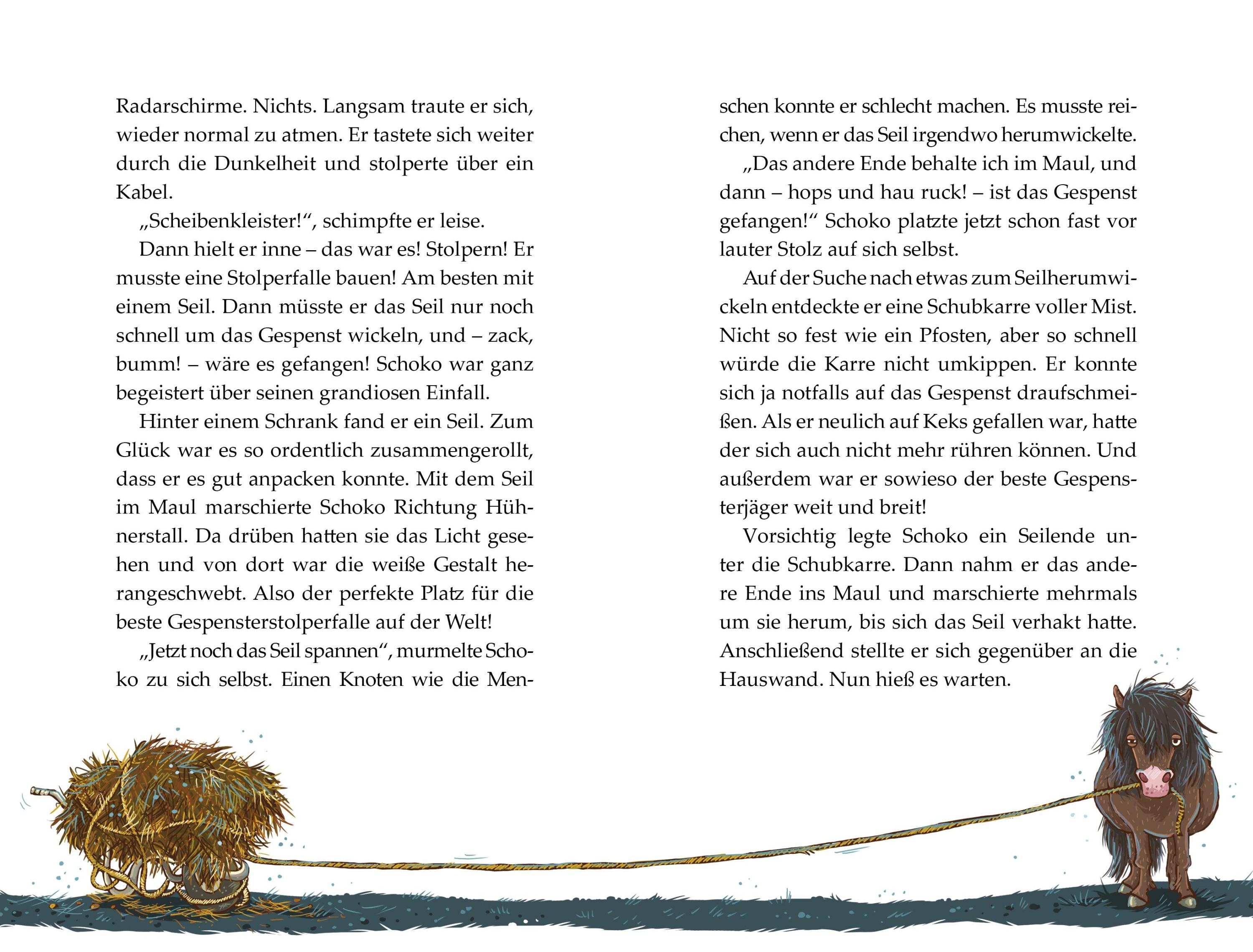 Flausen im Schopf / Die Haferhorde Bd.1
