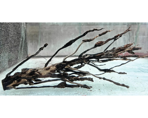 Aquarium Terrarium Decoratie Kokosvezel Zaailing ca. 40cm Bruine Wortel