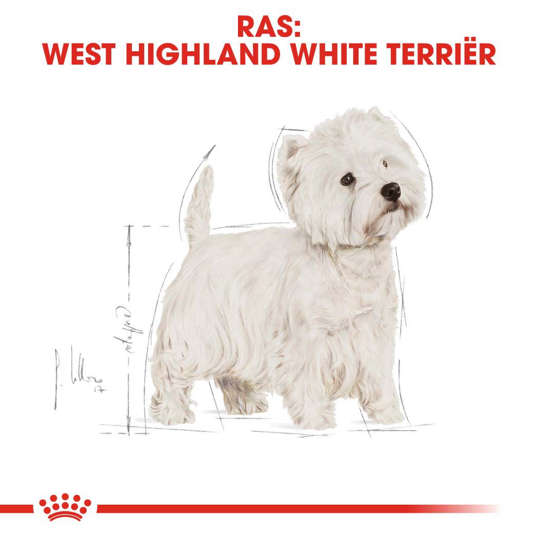 Royal Canin West Highland White Terrier Adult - Hondenvoer - 1.5 Kilogram - gevogelte