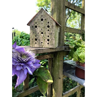 Nisthilfe Bienenhotel Bee's Inn