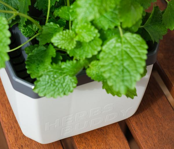 Gusta Garden Kräutertopf Herbs Buddy, ca.