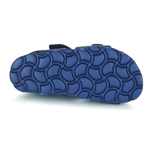 Citrouille et Compagnie - BELLI JOE - Bleu camouflage