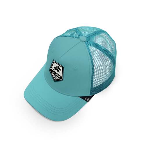 Boné Dolphin Hanukeii
