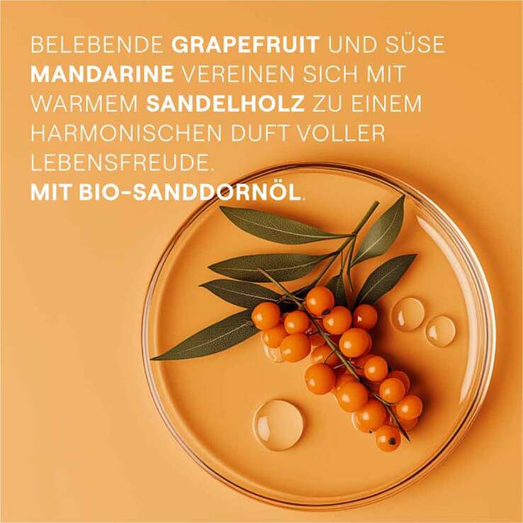 Weleda Geschenkset Sanddorn, 1 P