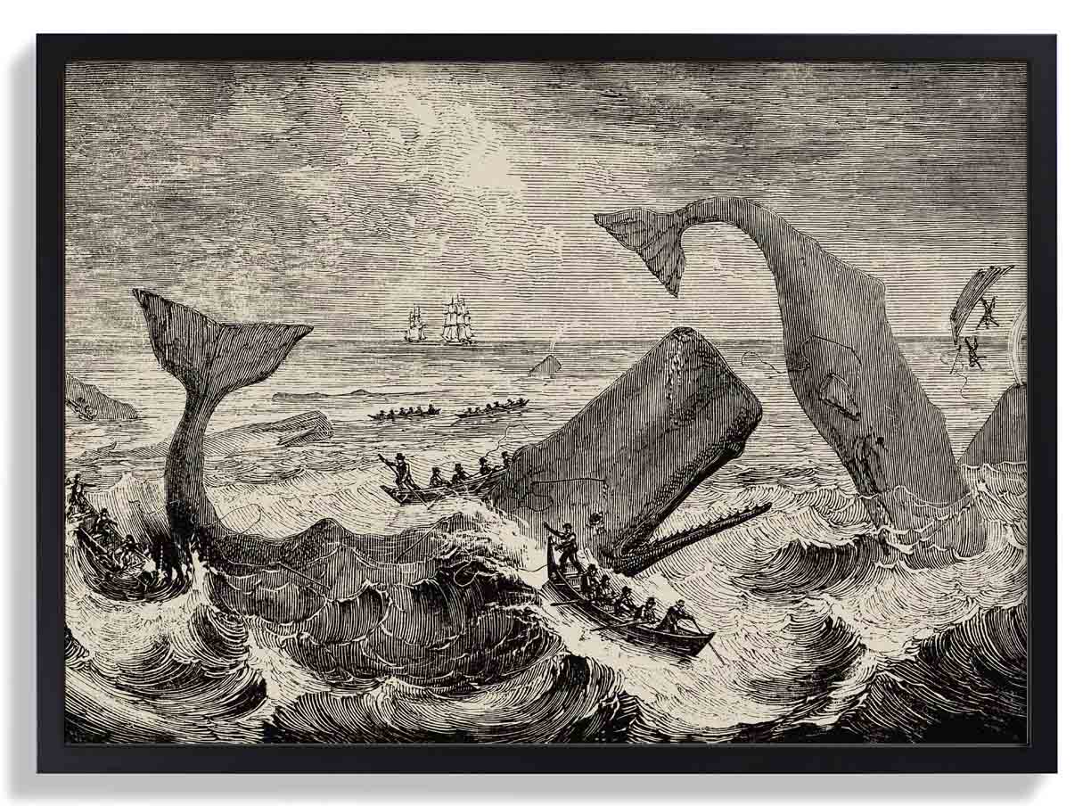 Szene Moby Dick