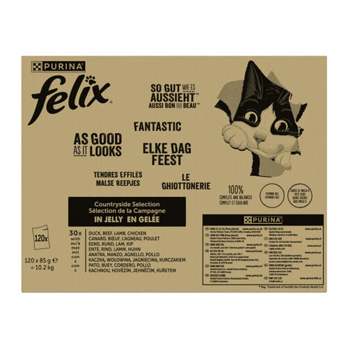 Felix Elke Dag Feest in Gelei