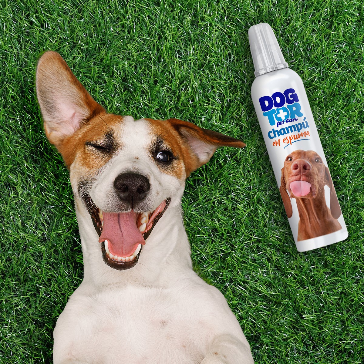 Shampoo em espuma seca Dogtor 200ml