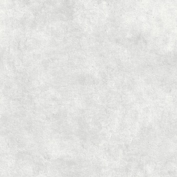 Vliesbehang Beton cire lichtgrijs 106988