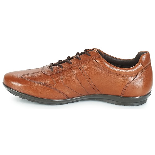 Geox - UOMO SYMBOL - Marron