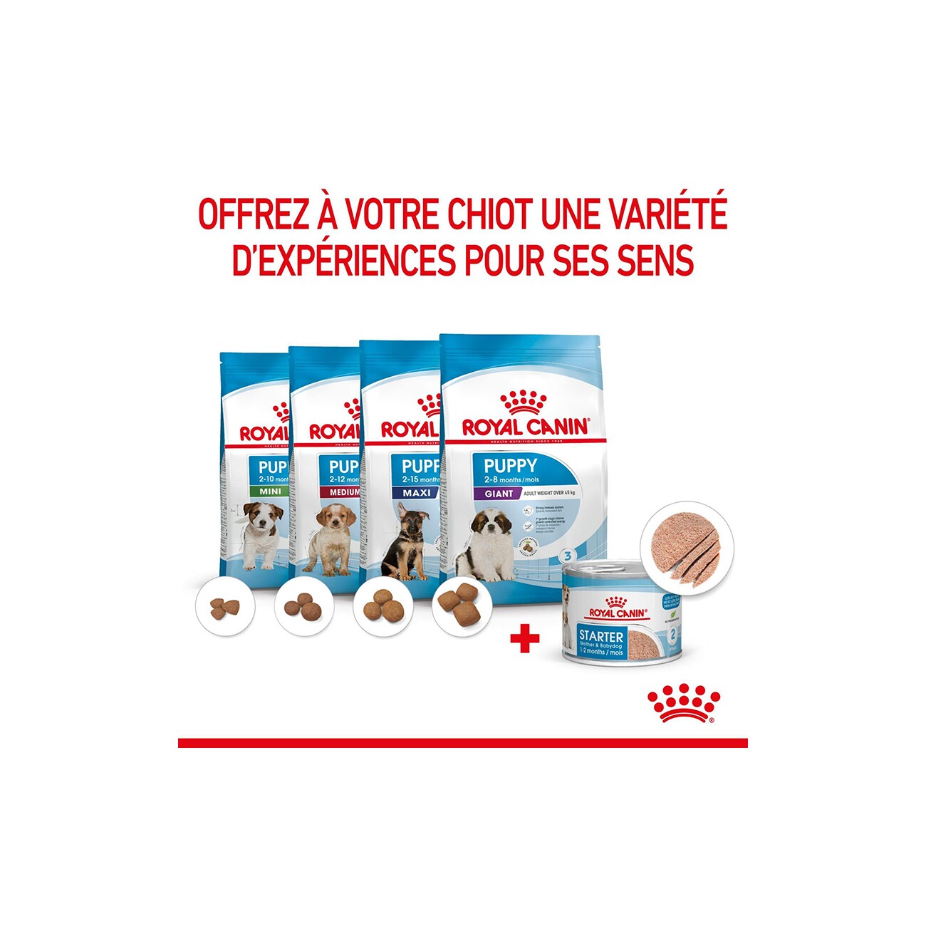 ROYAL CANIN Starter Mother & Babydog Mousse 12x195 g