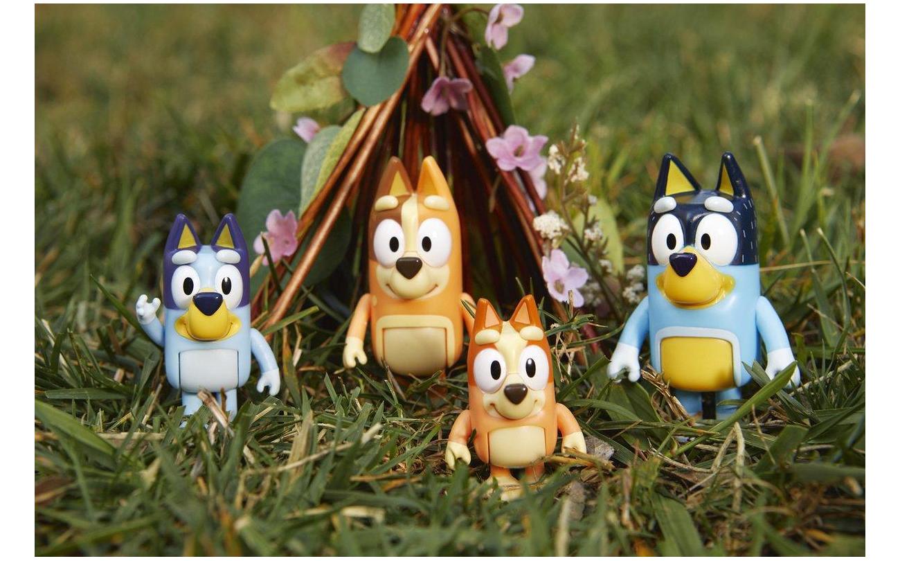 Bluey & Family