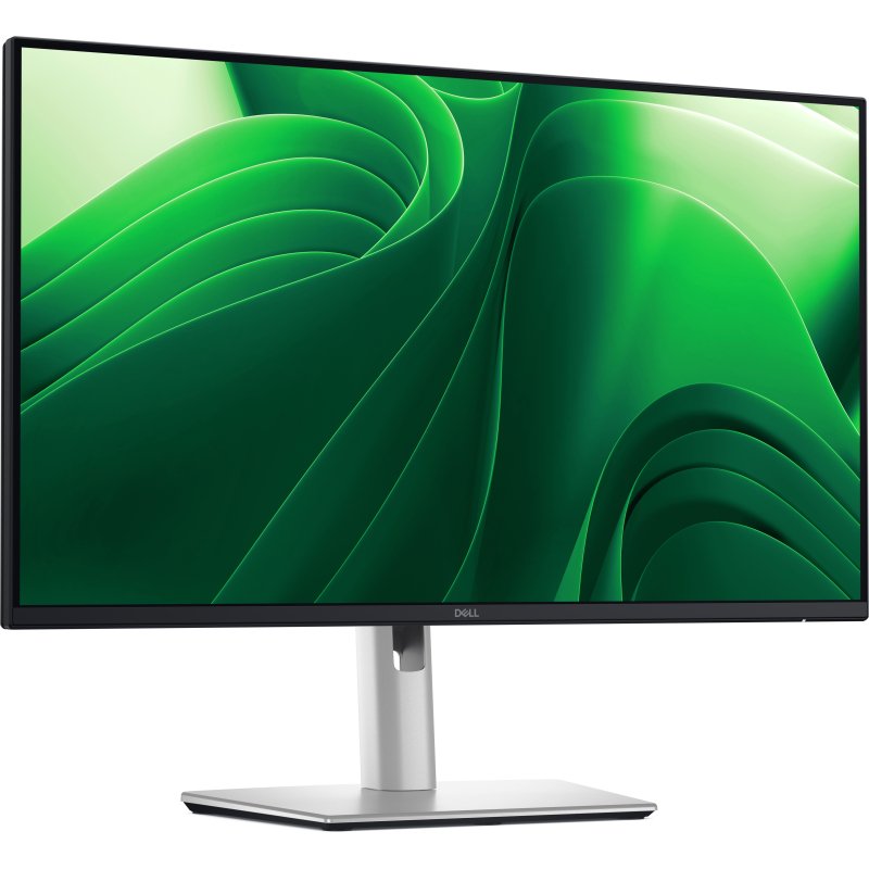 DELL Pro Plus P2425DE écran plat de PC 61 cm (24