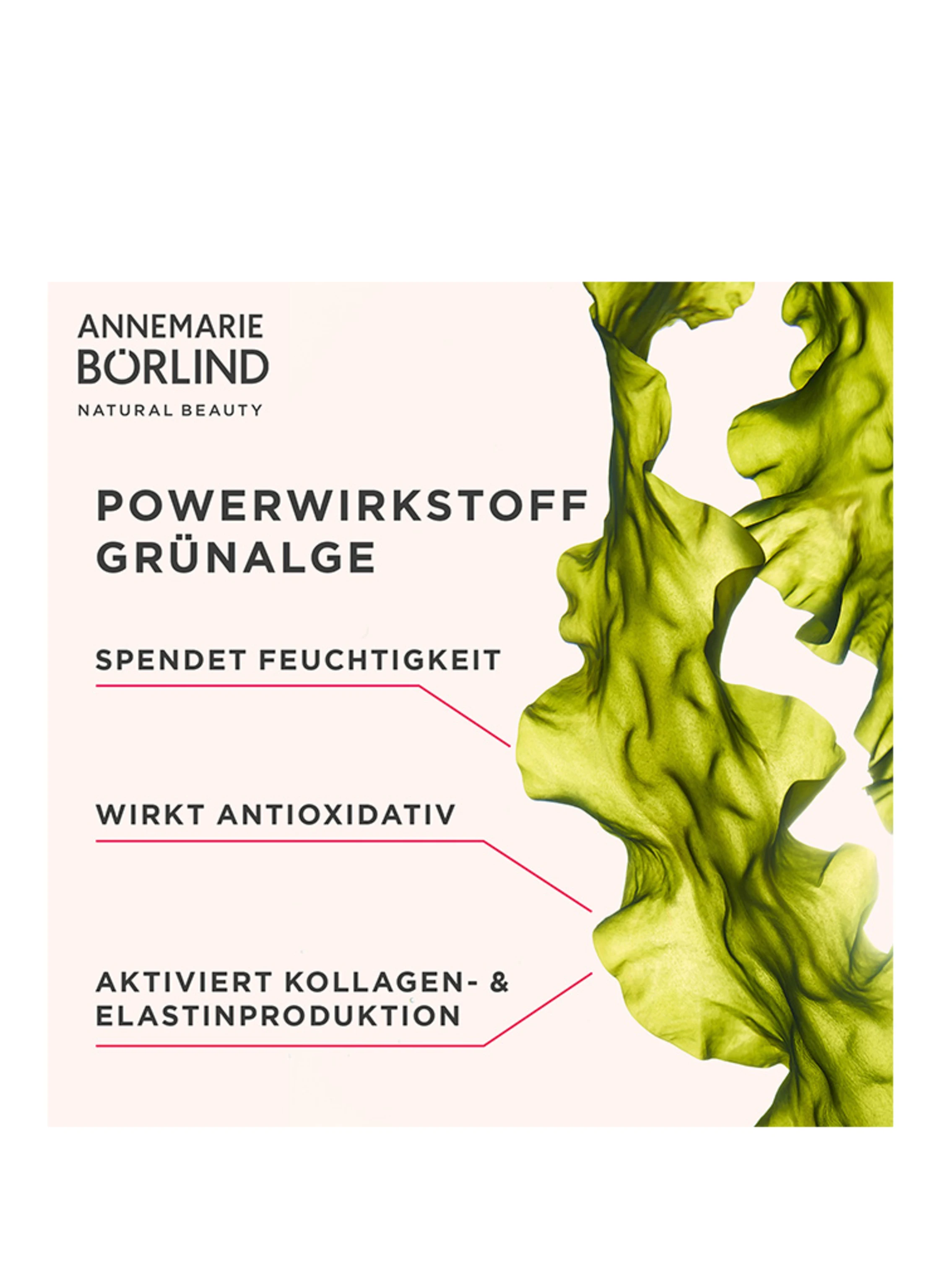 ANNEMARIE BÖRLIND SYSTEM ABSOLUTE