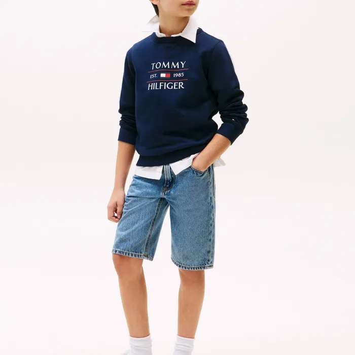 Tommy Hilfiger Flag Logo Sweater Junior