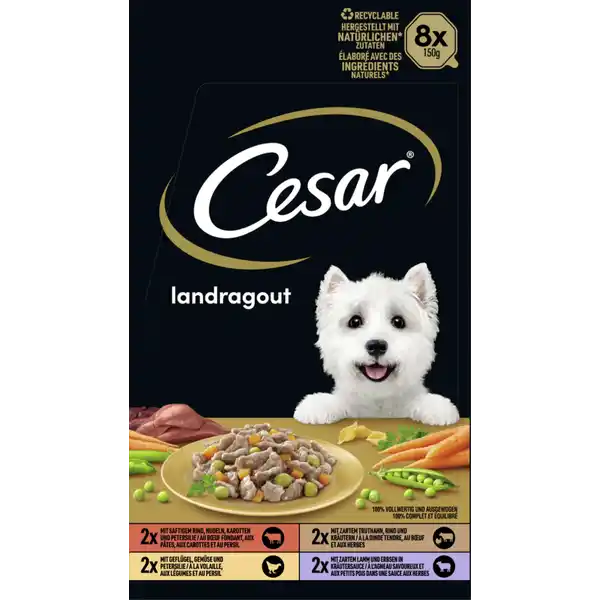 Landragout Multipack