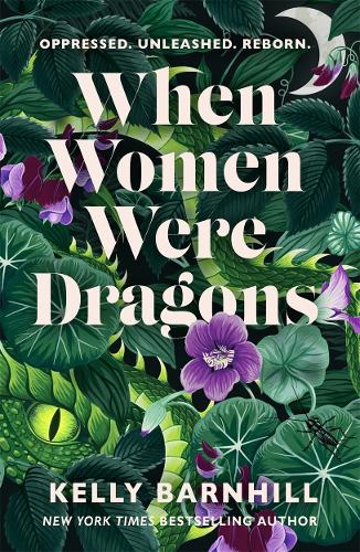 When Women Were Dragons (Paperback)