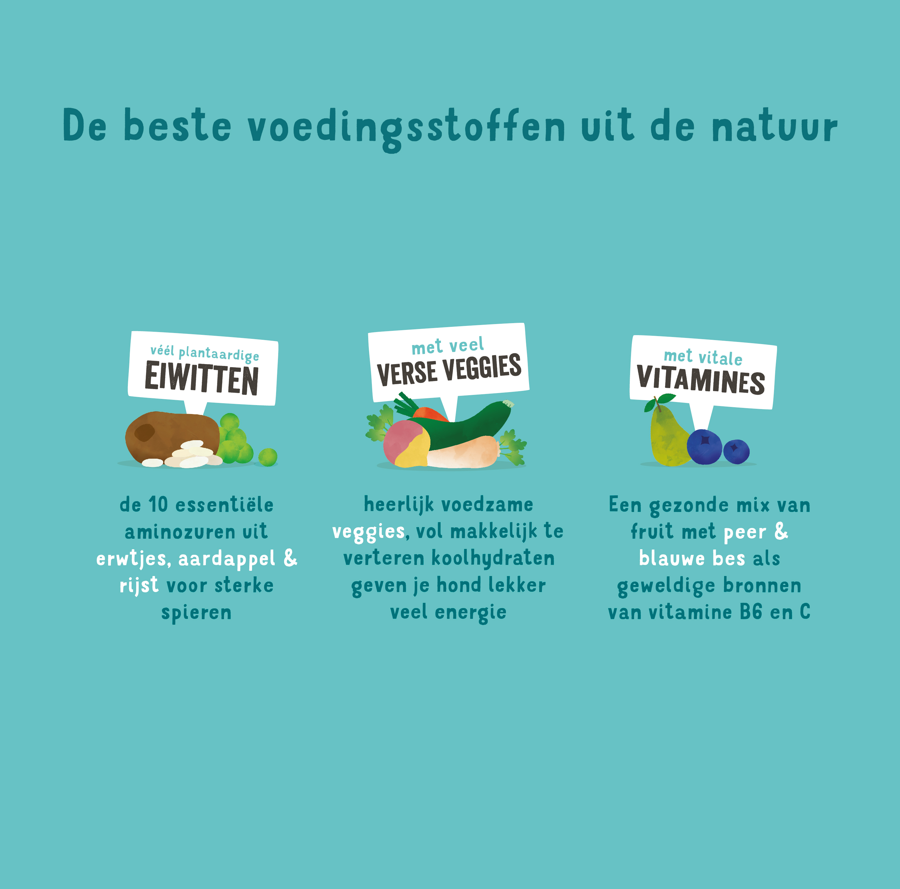 Edgard & Cooper Adult Plant Based Hondenvoer - Wortel & Courgette