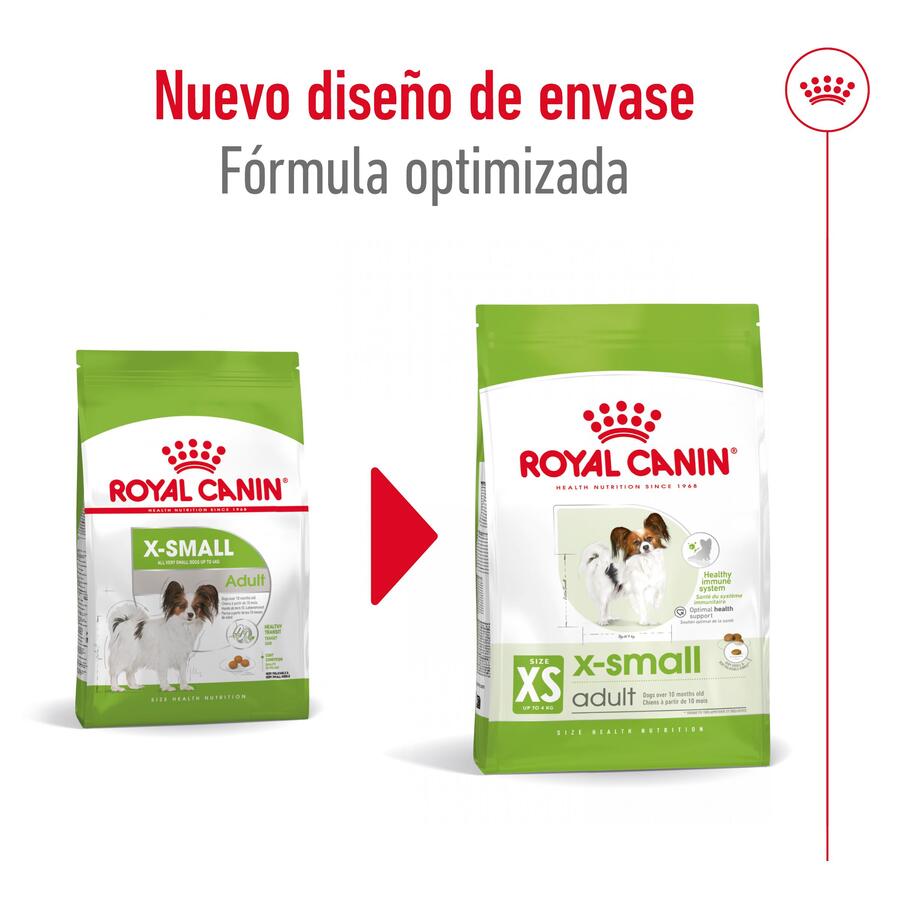 Ração Royal Canin X-Small para cães adultos