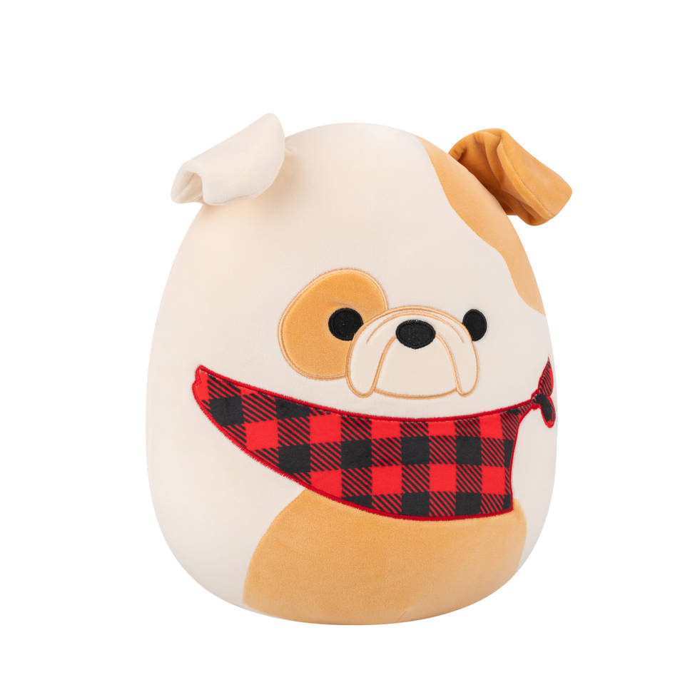 Squishmallows Brock de bruinwitte bulldogknuffel - 30 cm