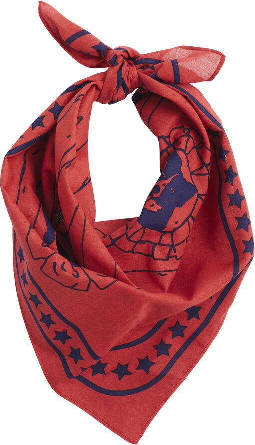 Hay HAY Dogs Scarf-55 x 55-Red
