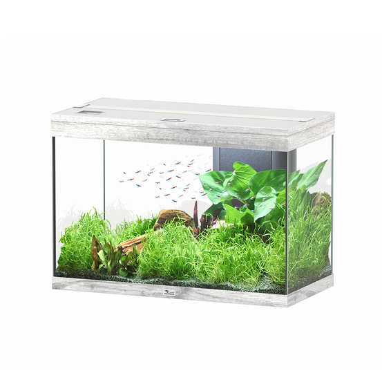 Aquarium équipé Splendid Led 2.0 Chêne Blanc L.80xP.40xH.56cm - 179L