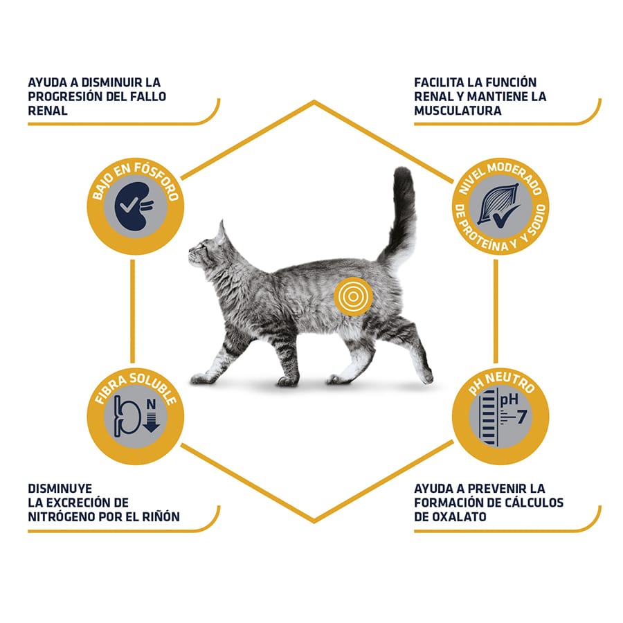1,5 kg de ração Advance Veterinary Diets Renal para gatos