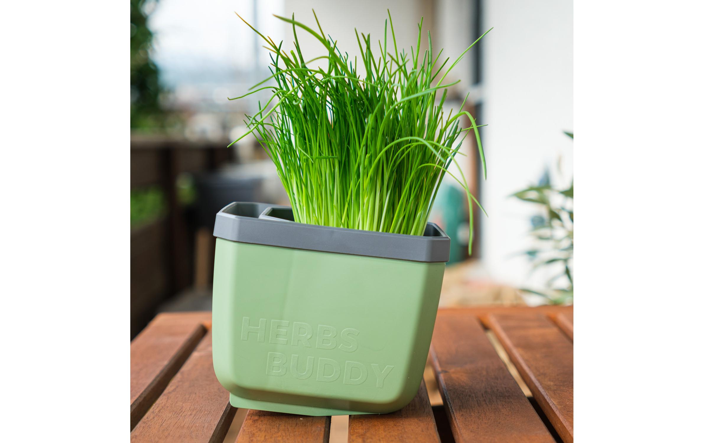 HERBS BUDDY Kräutertopf DunkelgrünKräutertopf mit Wasserreservoir und Kippfunktion