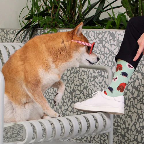 Chaussettes The Croquette's blanc