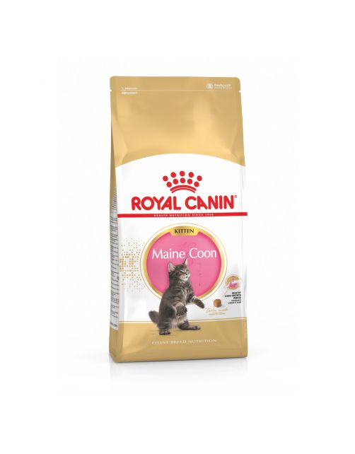 Royal Canin Maine Coon Kitten - Kitten-Kattenvoer