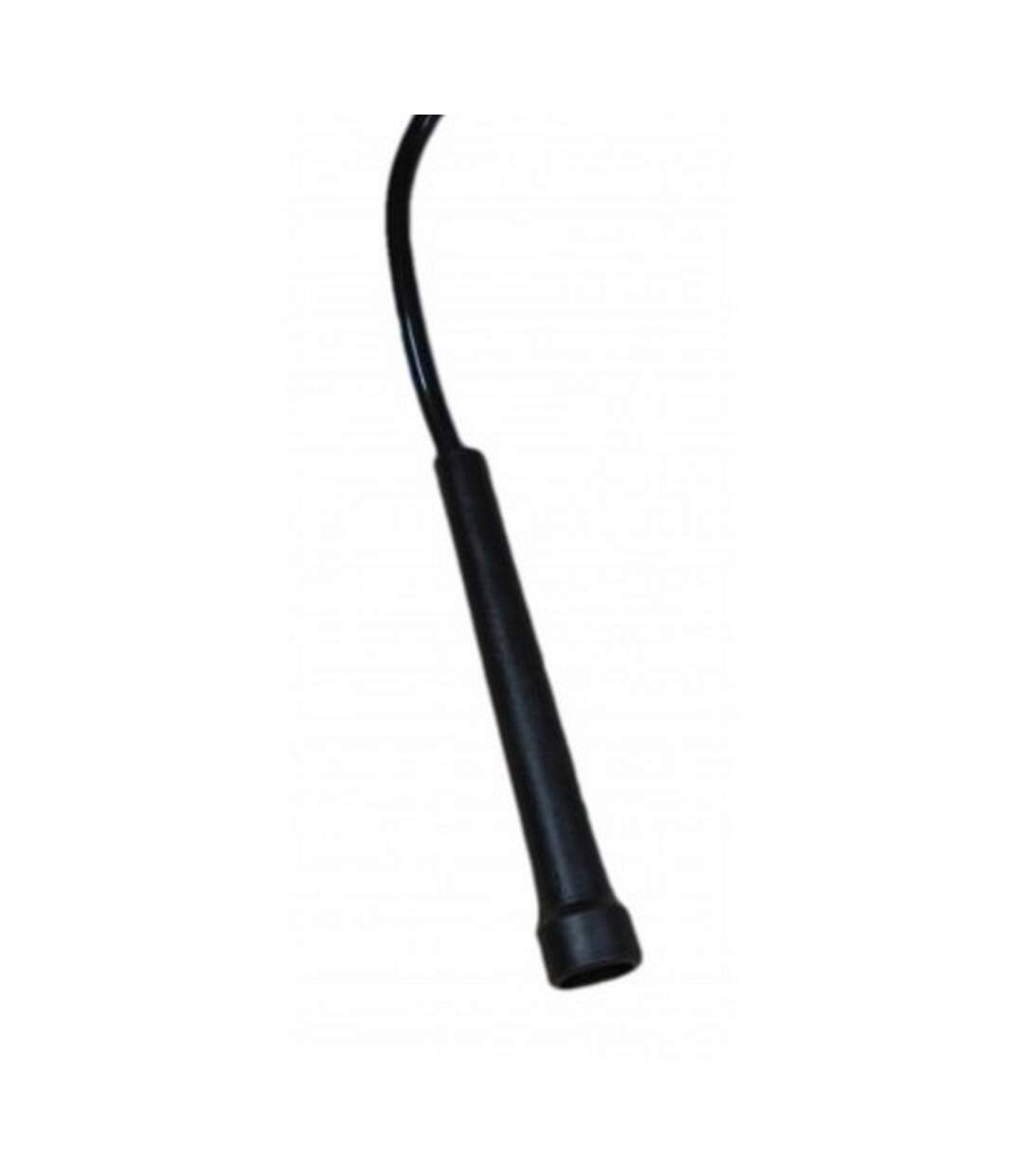 Carta Sport - Corde à sauter (Noir) (Taille unique) - UTCS180