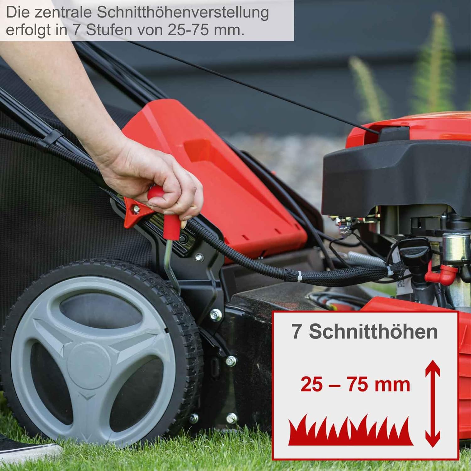 Scheppach Benzin Rasenmäher MS225-53E mit E-Start | Radantrieb | 6PS | 53 cm Schnittbreite | 7-fache Schnitthöhenverstellung | 65 Liter Fangkorb | Reinigungsfunktion | Mulchfunktion | Seitenauswurf