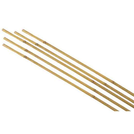 Lot de 5 tuteurs bambou Diam. 8/10 mm H 90 cm