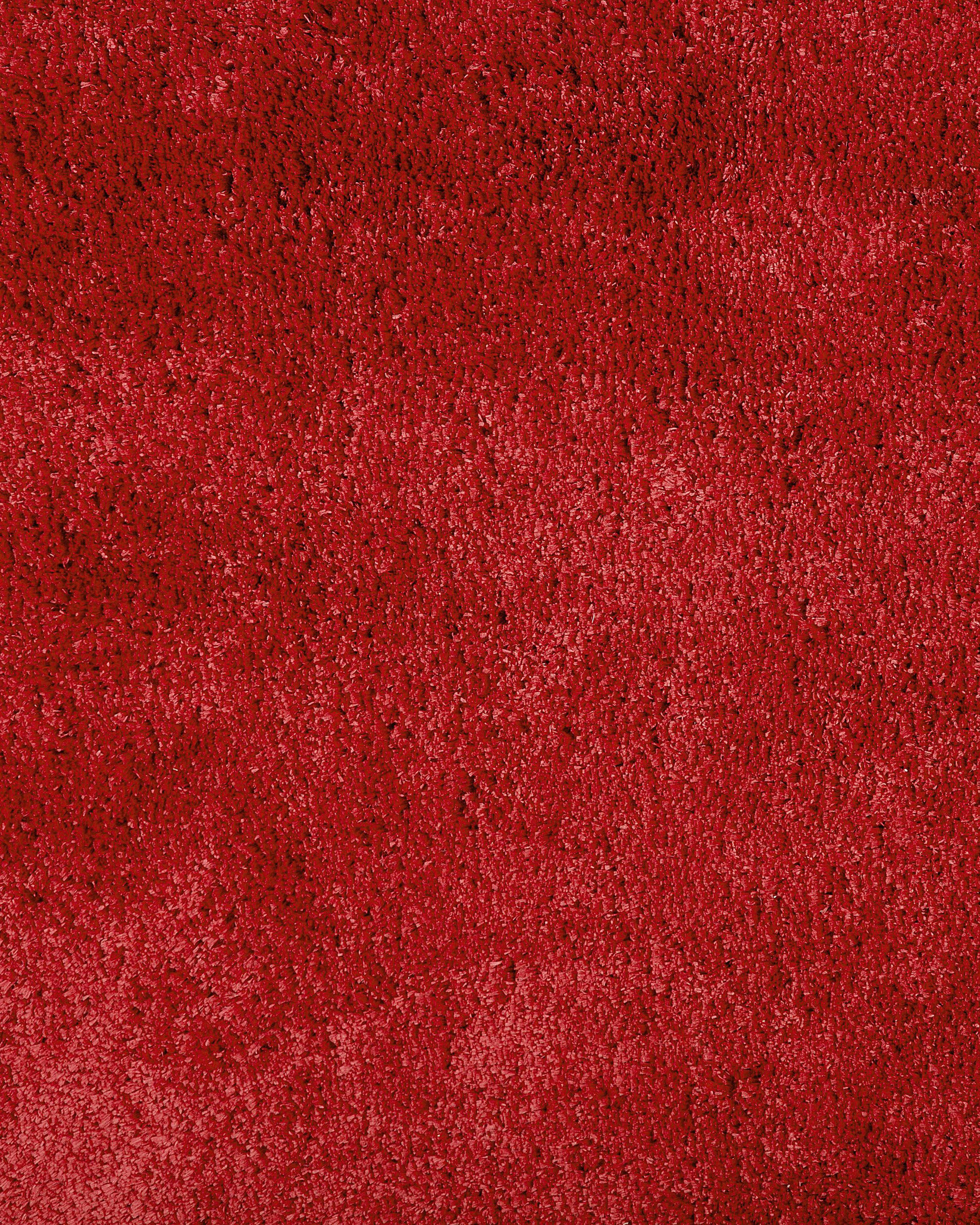 Hoogpoligvloerkleed EVREN Rood 160 x 230 cm