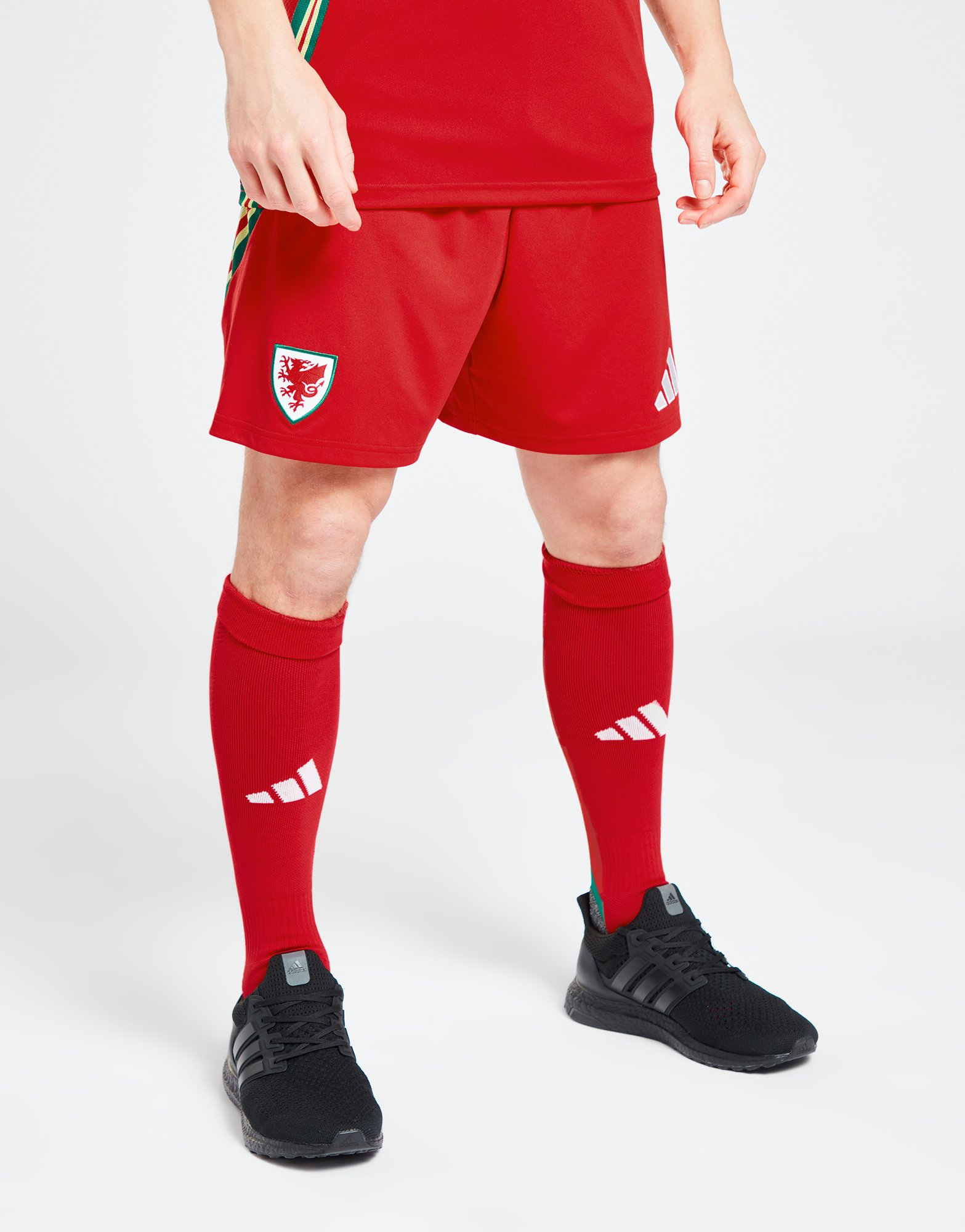 adidas Short Pays de Galles 2024 Match Domicile Homme