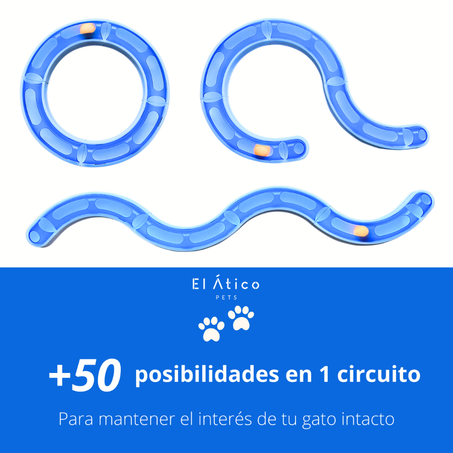 Cobra para Gatos. Circuito Interativo para Gatos. Brinquedos para Gatos. Brinquedos Interativos para Gatos. Brinquedos para Gatos. Bola para Gatos. Roda Giratória para Gatos