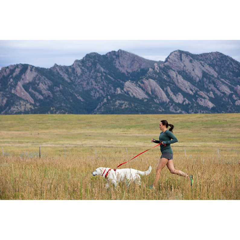 Ruffwear Front Range Harness Hundegeschirr