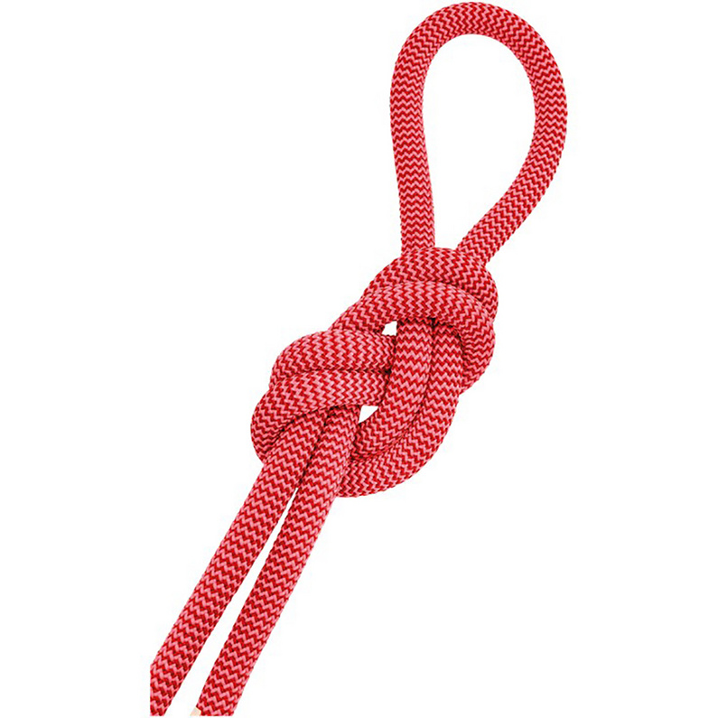 Salewa Red 9.6 Kletterseil