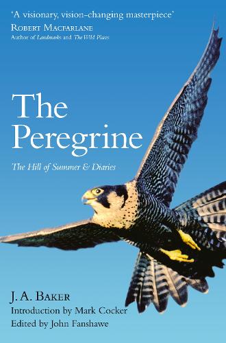 The Peregrine: The Hill of Summer & Diaries: the Complete Works of J. A. Baker (Paperback)