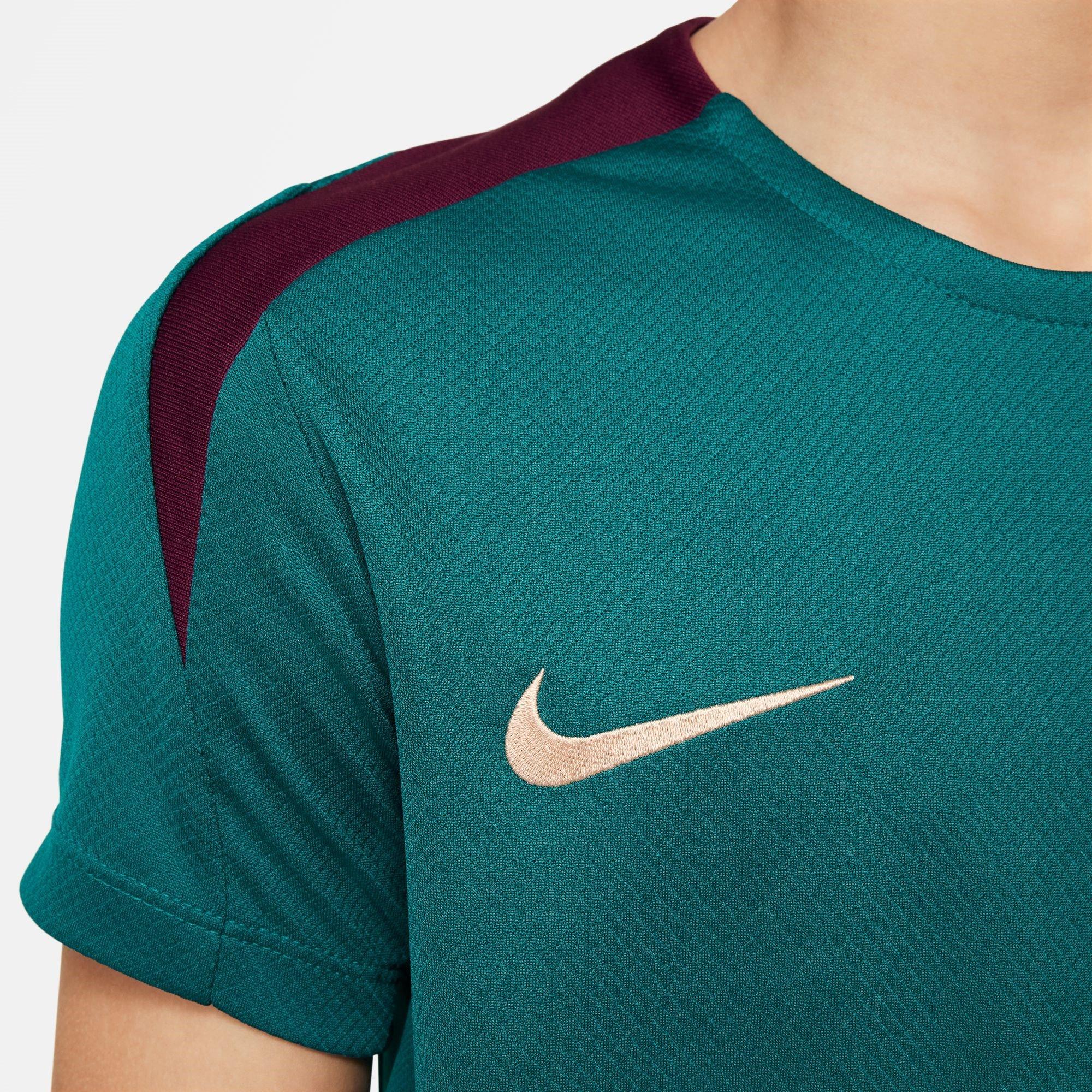 Nike Paris Saint Germain Strike Top 2024 2025 Juniors
